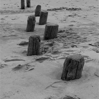 Buy canvas prints of Stepping logs by Rebecca Giles