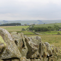 Buy canvas prints of  Hadrian's Wall by Rebecca Giles