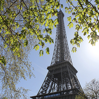 Buy canvas prints of  Eiffel Tower by Rebecca Giles