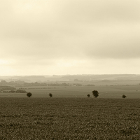 Buy canvas prints of  Countryside (Sepia) by Rebecca Giles