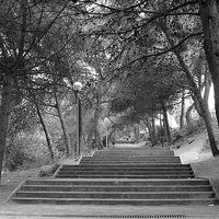 Buy canvas prints of  Stairs to where? by Rebecca Giles