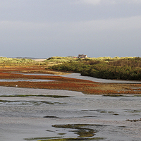 Buy canvas prints of  Titchwell Marsh Coastline by Rebecca Giles