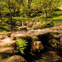 Buy canvas prints of Becca Brook, Dartmoor National Park by Jay Lethbridge