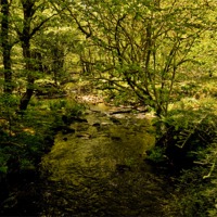 Buy canvas prints of River Meavy, Dartmoor by Jay Lethbridge
