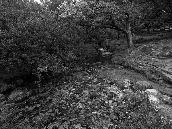 Meavy River in Mono Picture Board by Jay Lethbridge