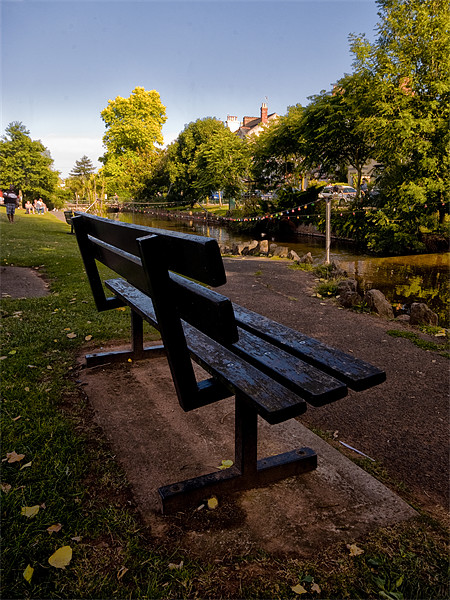 The Bench at Dawlish Picture Board by Jay Lethbridge