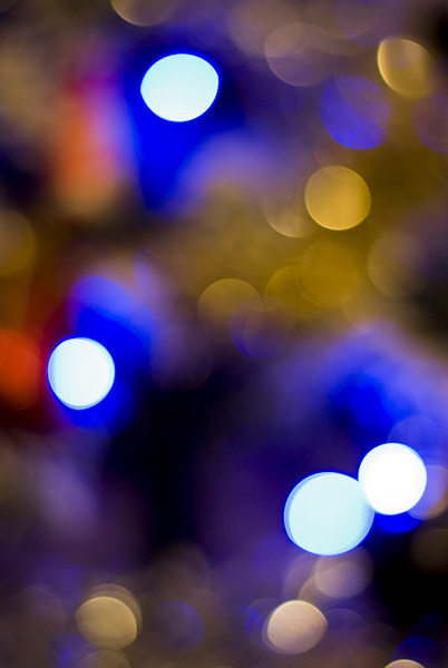 Bokeh Lights from Christmas Tree Picture Board by Jay Lethbridge