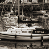 Buy canvas prints of Barney G at Paignton Harbour by Jay Lethbridge