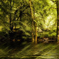 Buy canvas prints of River Dart on Dartmoor National Park by Jay Lethbridge