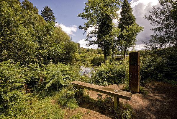 Stover Country Park in Newton Abbot Picture Board by Jay Lethbridge