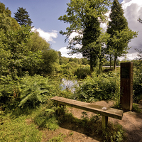 Buy canvas prints of Stover Country Park in Newton Abbot by Jay Lethbridge