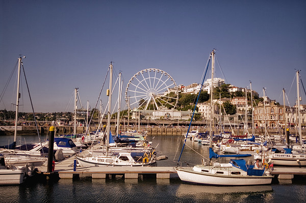 Torquay Harbour and Big Wheel Picture Board by Jay Lethbridge