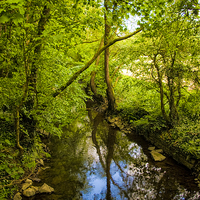 Buy canvas prints of River Lemon at Bakers Park in Newton Abbot by Jay Lethbridge
