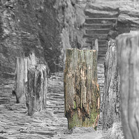 Buy canvas prints of sea wall timbers by mike fox