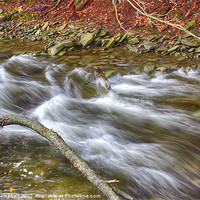 Buy canvas prints of Creek by peter campbell