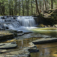 Buy canvas prints of Salt Springs Park in PA by peter campbell