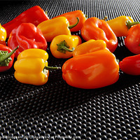 Buy canvas prints of Red, Orange and Yellow Mini Bell Peppers by Nicholas Burningham