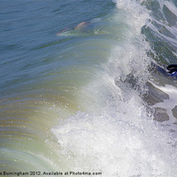 Buy canvas prints of Surfer by Nicholas Burningham