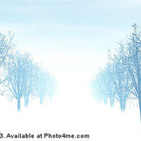Buy canvas prints of Winter Avenue by Nicholas Burningham