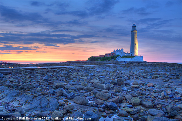 St Marys Lighthouse at Sunset Picture Board by Phil Emmerson