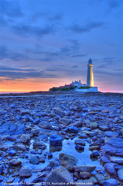 St Marys Lighthouse at Sunset Picture Board by Phil Emmerson