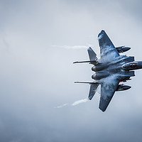 Buy canvas prints of Storm Eagle by Phil Emmerson