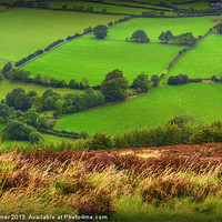 Buy canvas prints of Arty Exmoor view by Paula Palmer canvas