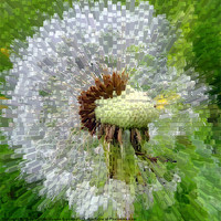 Buy canvas prints of extrusion Abstract dandelion clock! by Paula Palmer canvas
