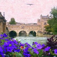 Buy canvas prints of Pulteney weir in summer by Paula Palmer canvas