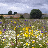 Buy canvas prints of wildflower meadow 2 by Paula Palmer canvas