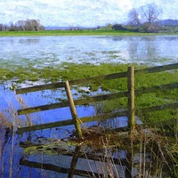 Buy canvas prints of Flooding on the Somerset Levels by Paula Palmer canvas