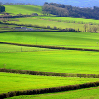 Buy canvas prints of Somerset country view  by Paula Palmer canvas