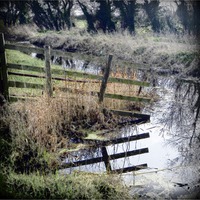 Buy canvas prints of Somerset levels river reflection by Paula Palmer canvas