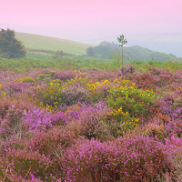 Buy canvas prints of  Exmoor view by Paula Palmer canvas