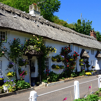 Buy canvas prints of  Picturesque thatched cottages by Paula Palmer canvas