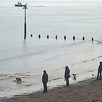 Buy canvas prints of Teignmouth Beach Devon by Paula Palmer canvas