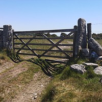 Buy canvas prints of Five bar gate on Dartmoor National Park  by Paula Palmer canvas