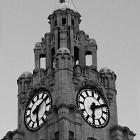 Buy canvas prints of Liver Building  by John Wain