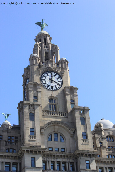 Royal Liver Building Picture Board by John Wain