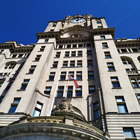 Buy canvas prints of The Royal Liver Building by John Wain