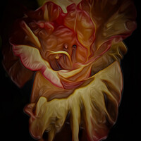 Buy canvas prints of Gladiolus (Digital Art) by John Wain