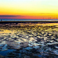 Buy canvas prints of Low Tide and Wet Sand by John Wain