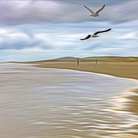 Buy canvas prints of Run In the tide by John Wain