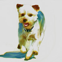 Buy canvas prints of  Yorkshire terrier (Digital Art) by John Wain