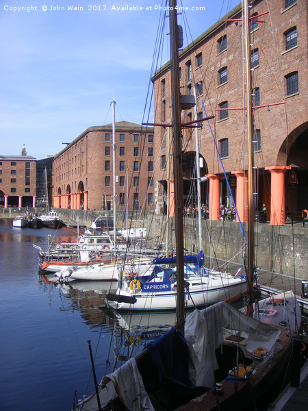 Royal Albert Docks, Liverpool Picture Board by John Wain