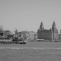 Buy canvas prints of Mersey Ferry Snowdrop  by John Wain