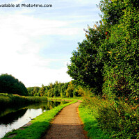 Buy canvas prints of Along the canal by John Wain