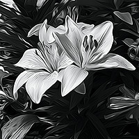 Buy canvas prints of Painted Lily by jim scotland fine art
