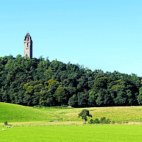 Buy canvas prints of William Wallace Monument by jim scotland fine art