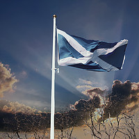Buy canvas prints of Flying the flag by jim scotland fine art